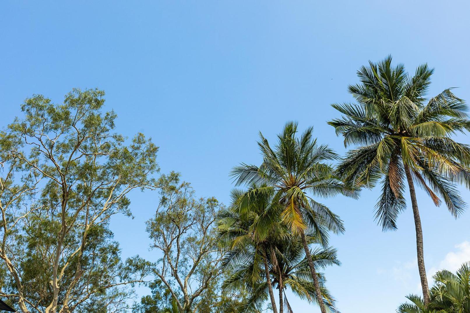 Kipara Tropical Rainforest Retreat Airlie Beach Bagian luar foto